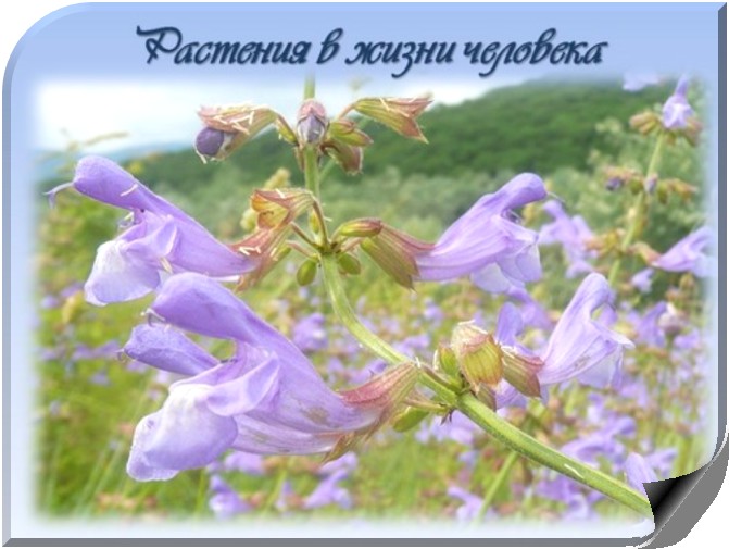 foto 06 11 2018 09 12 2