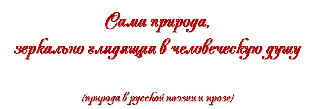 foto 06 11 2018 13 58 1